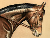 Hunter, Equine Art - Lady Doctor New